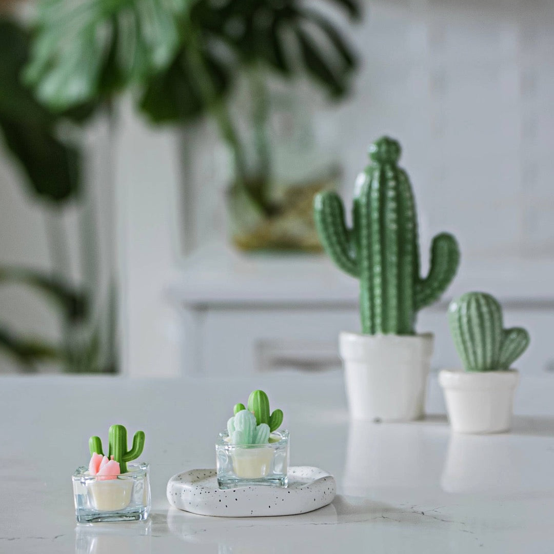 Cactus & Succulent Tealight Candles, Soy Wax Blend