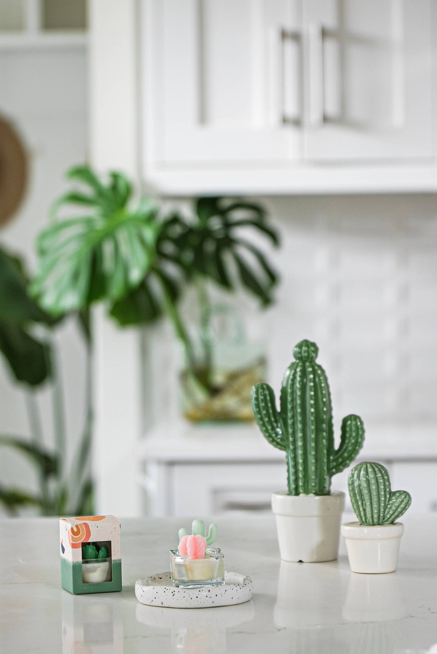 Cactus Tealight Candles, Soy Wax Blend
