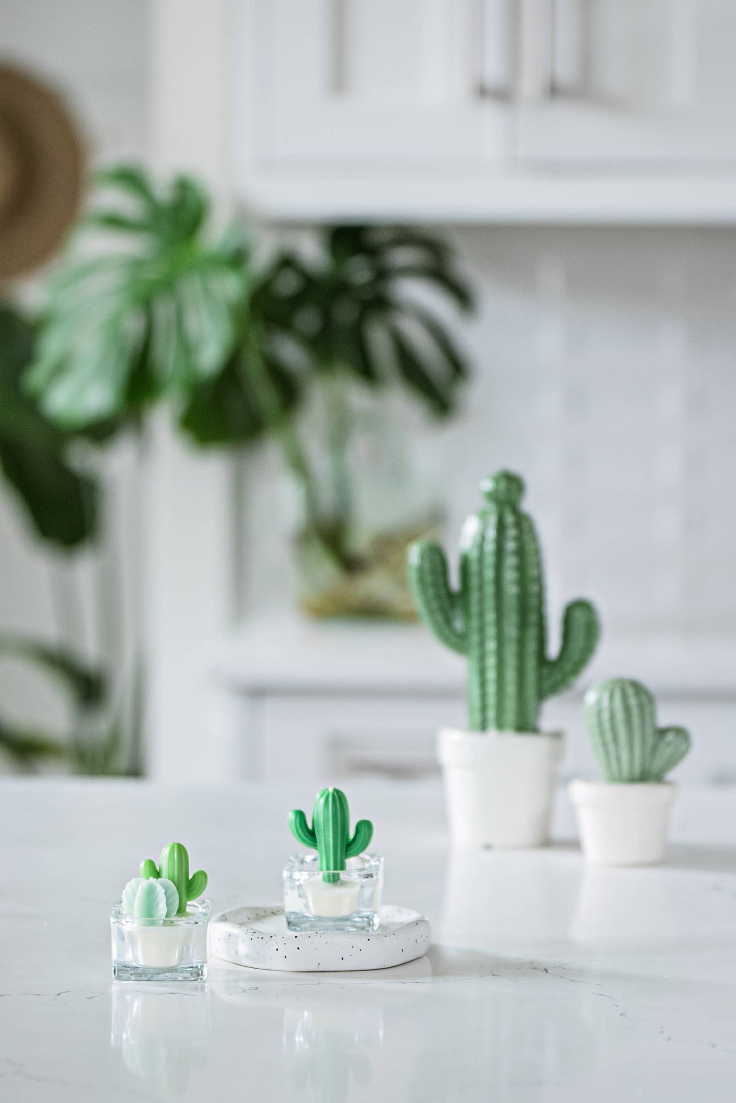 Cactus & Succulent Tealight Candles, Soy Wax Blend