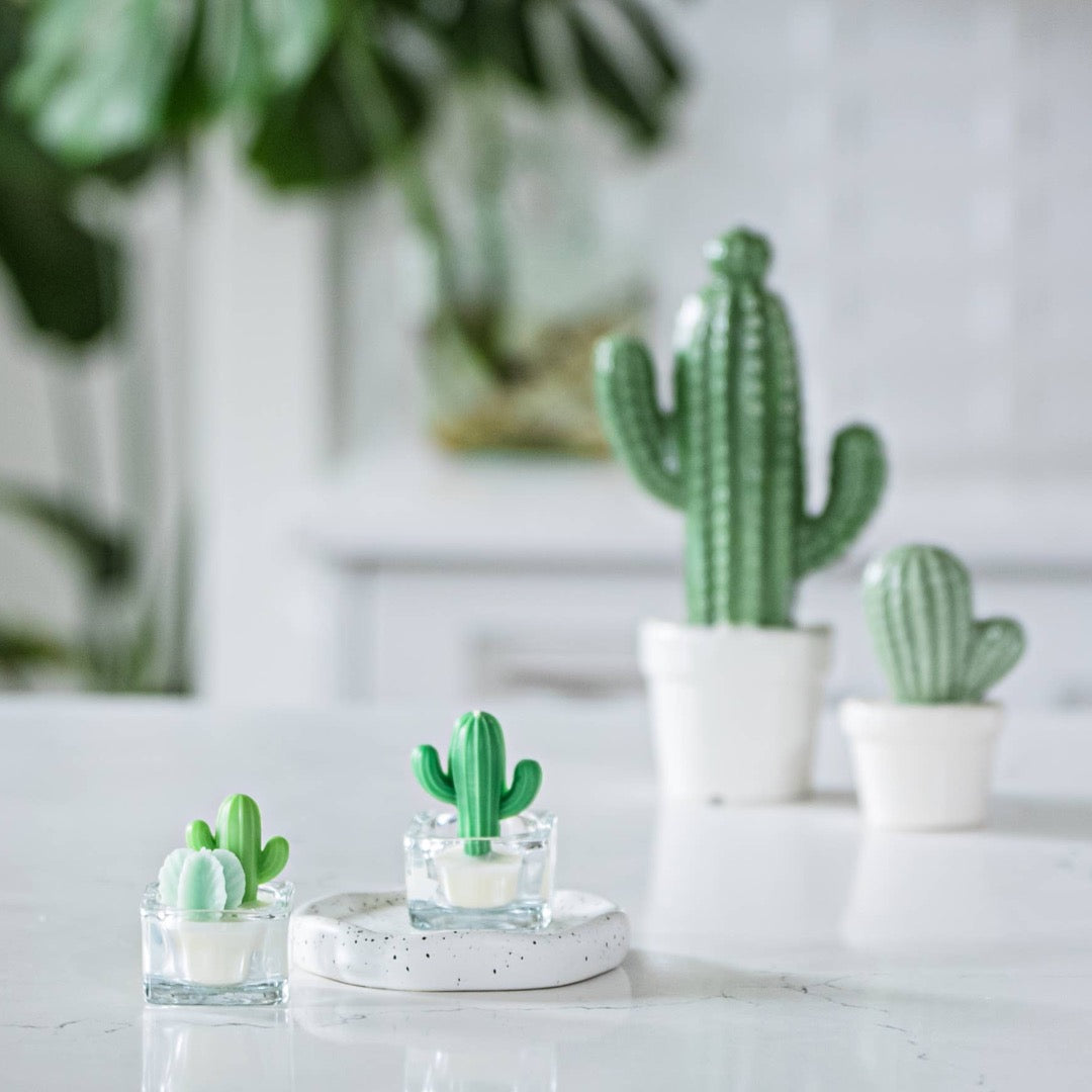 Cactus Tealight Candles, Soy Wax Blend