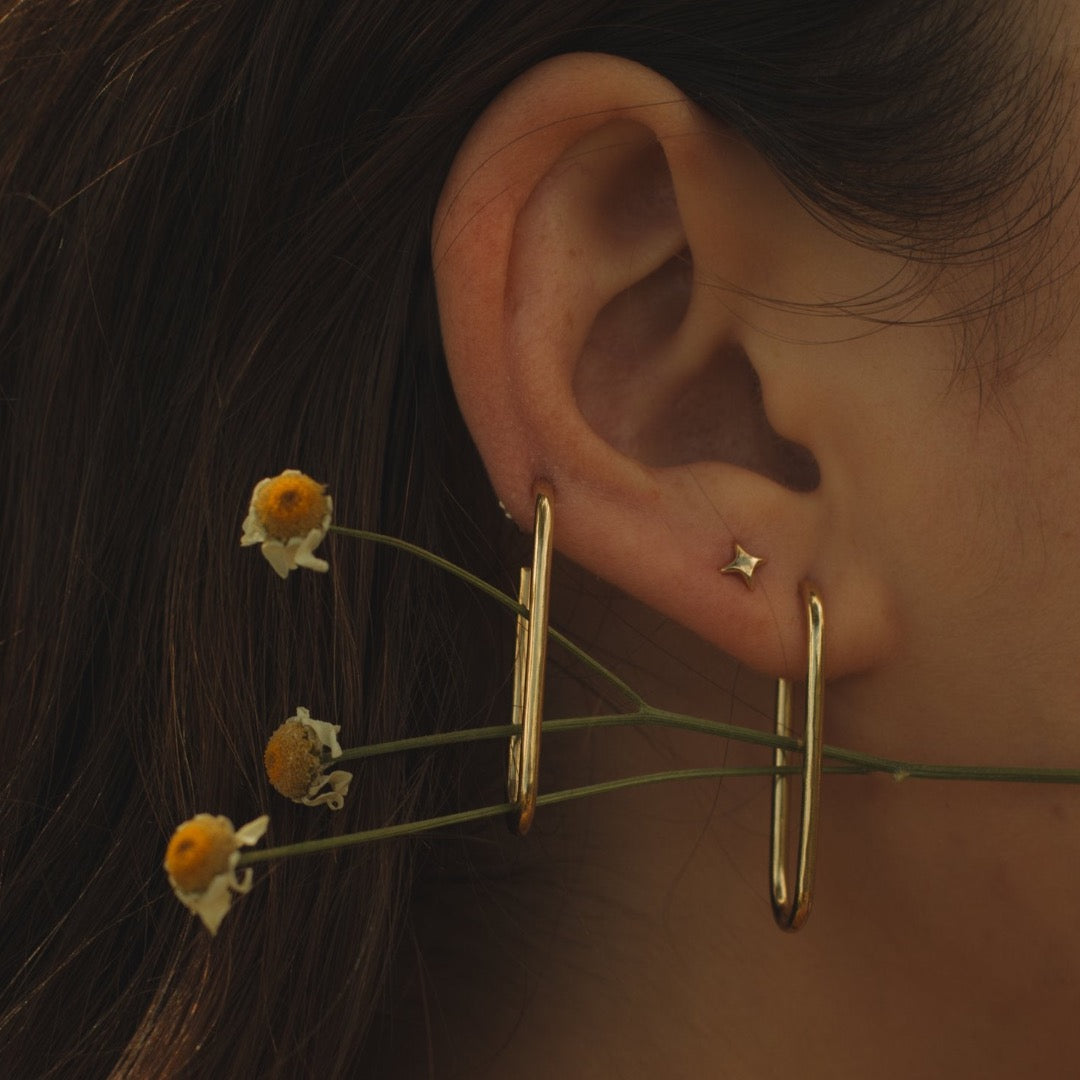Ernest Hoops