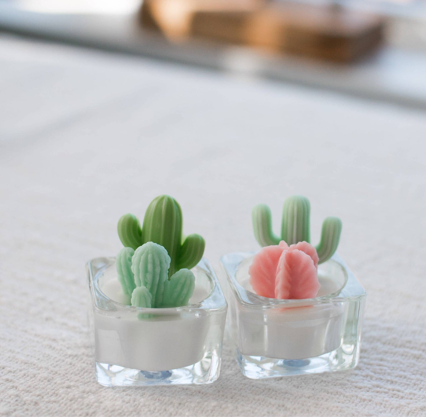 Cactus & Succulent Tealight Candles, Soy Wax Blend