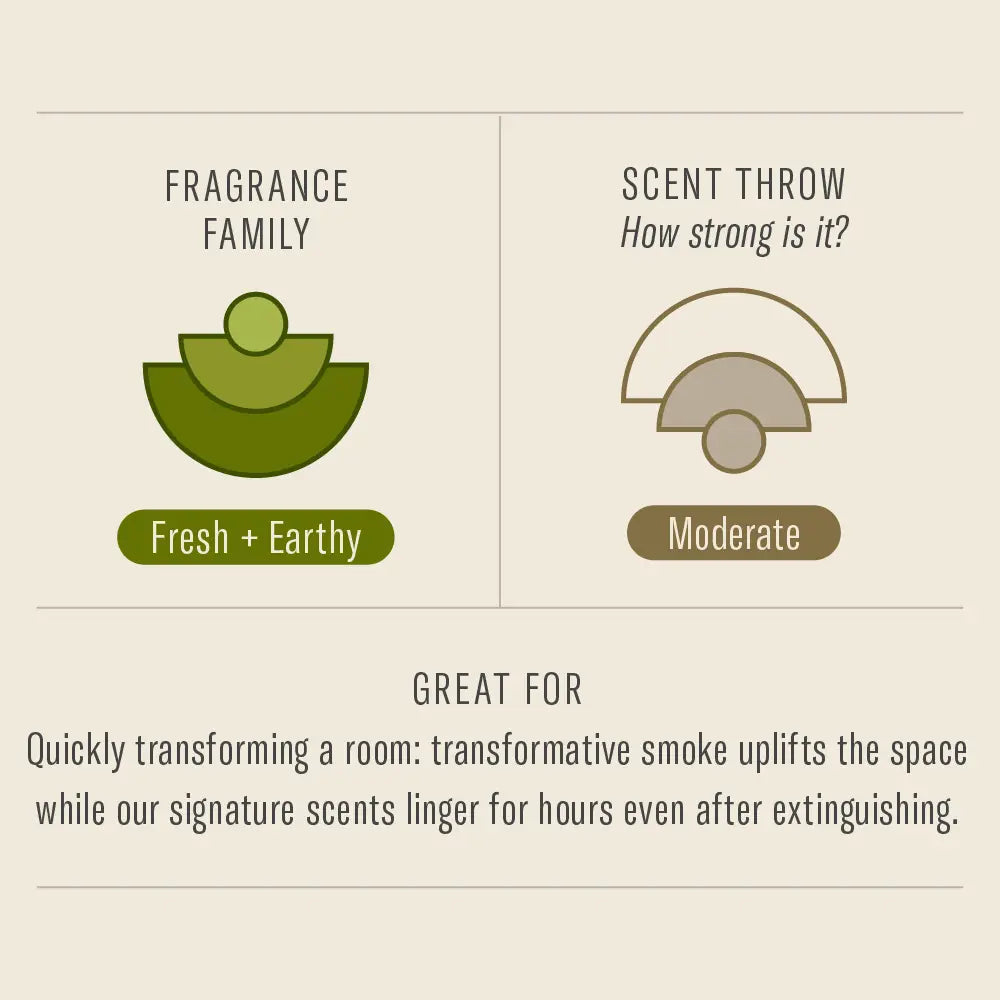 Amber & Moss Soy Candle