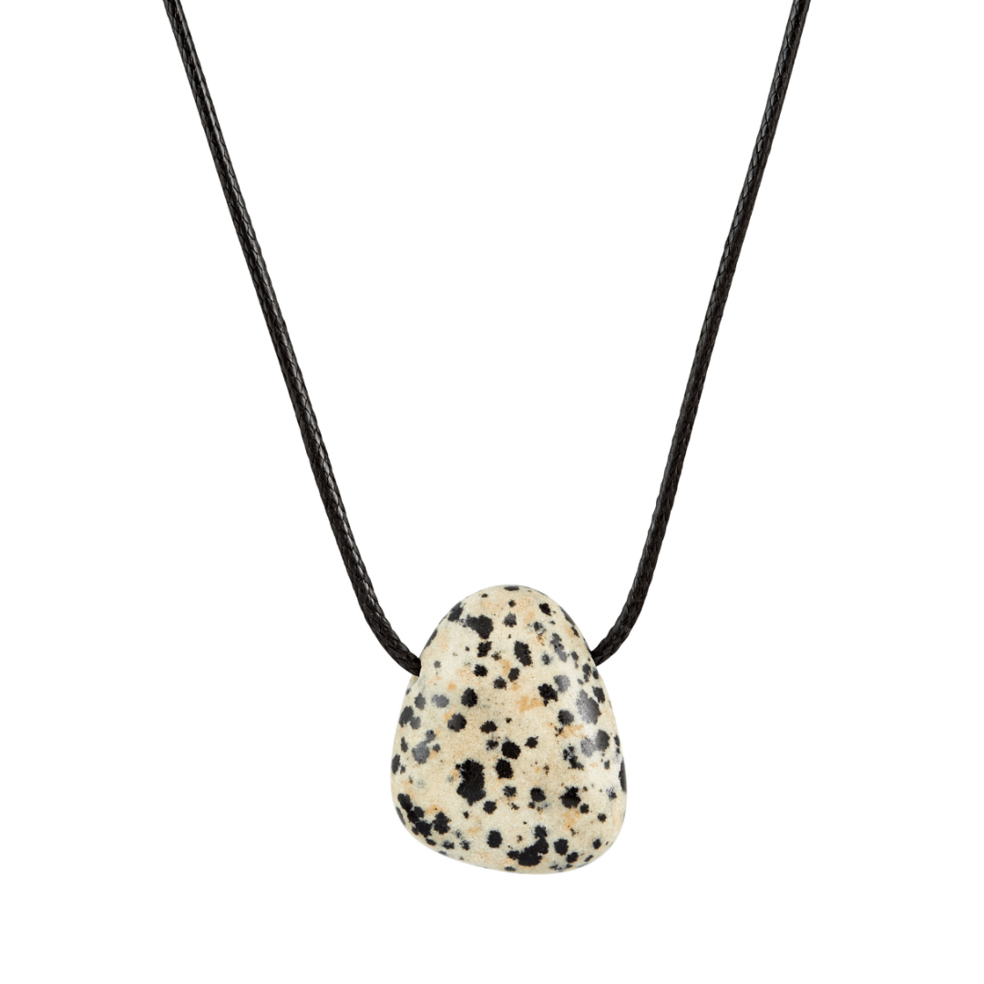 Twenty Compass, Calico Necklace, Dalmatian Jasper & Black