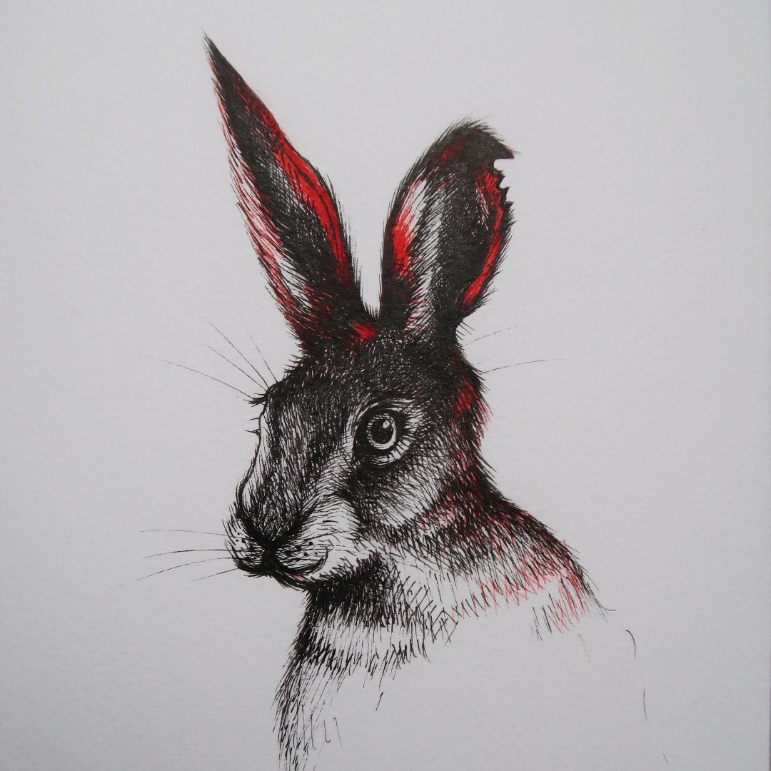 Black and Red Rabbit Fine Art Print
