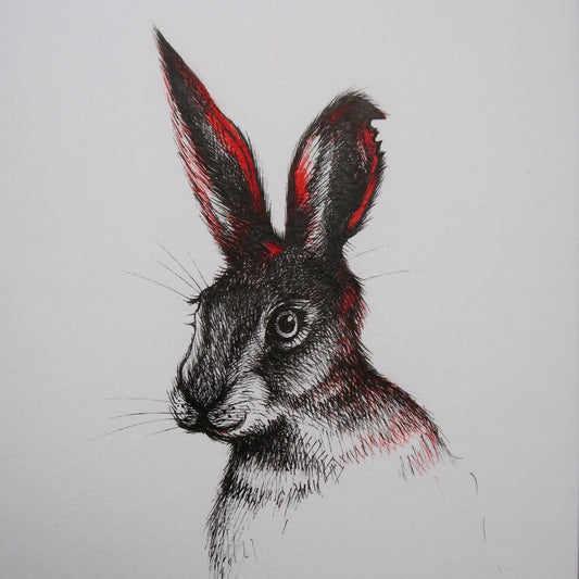 Black and Red Rabbit Fine Art Print