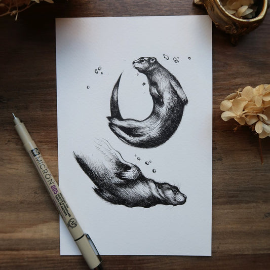 Otters Fine Art Print