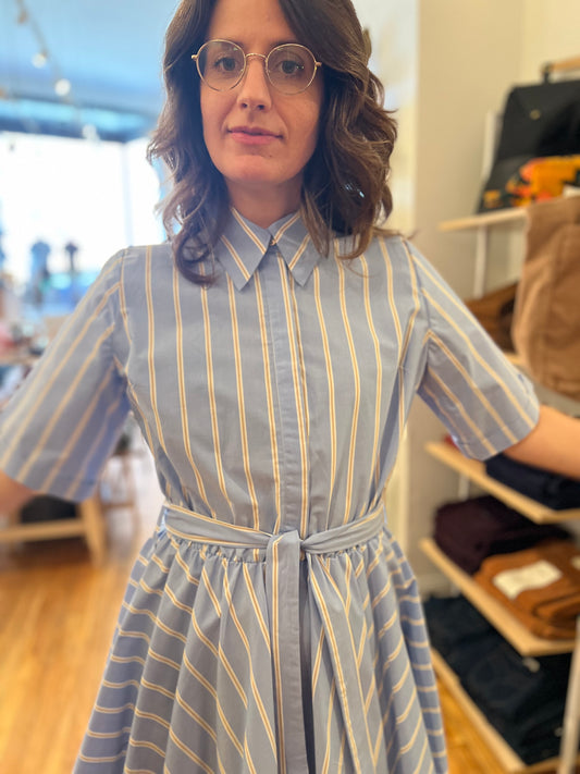 Nolana Shirt Dress