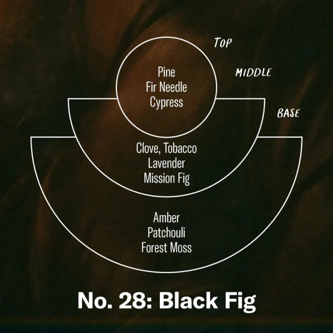 Black Fig, 7.2 oz Standard Soy Candle