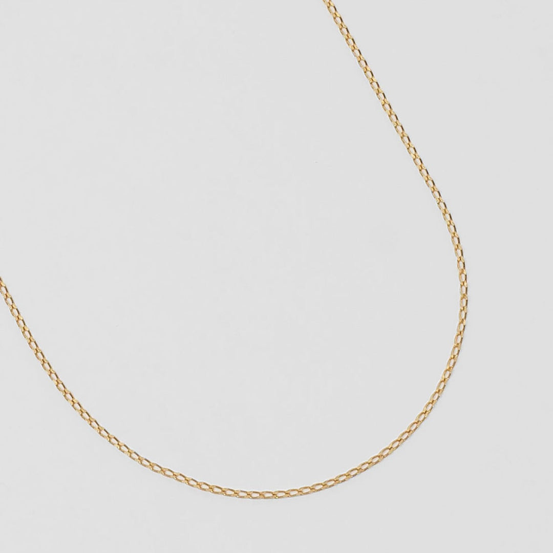 Wolf Circus, Elongated Curb Chain, Gold