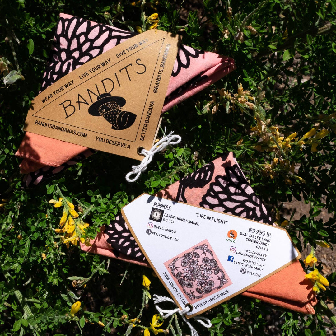 BANDITS Bandanas,"Life In Flight"