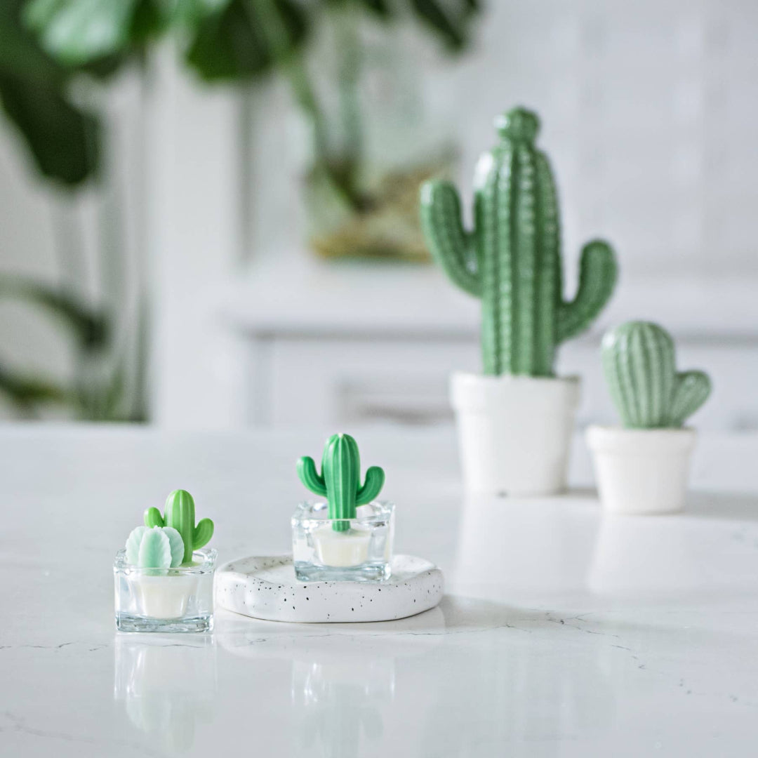 Cactus & Succulent Tealight Candles, Soy Wax Blend, Green