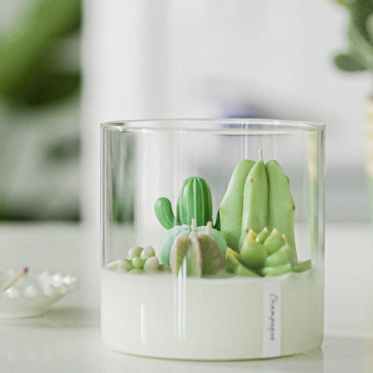 Large 3-wick Terrarium Candle, Soy blend