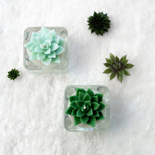 Succulent Tealight Candles, Soy Blend